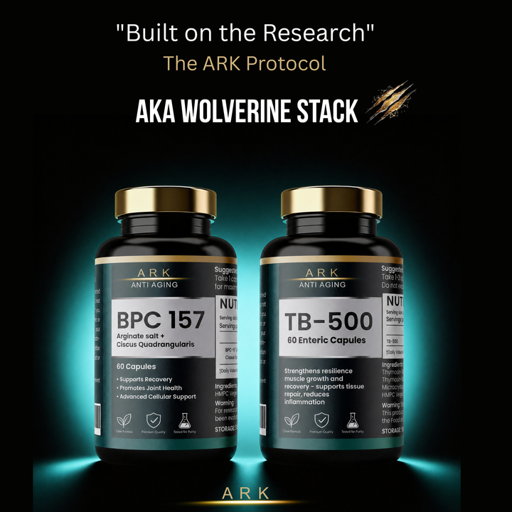 The ARK Protocol Stack